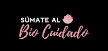 Bio Crema GIF by Tapsin Chile