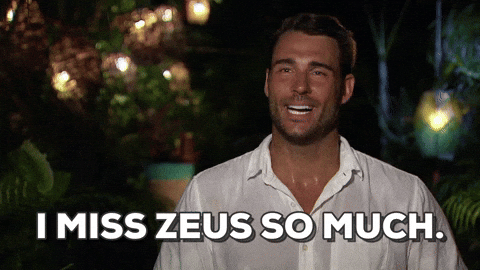 Bachelor in Paradise season 4 bachelor in paradise bip ben z GIF