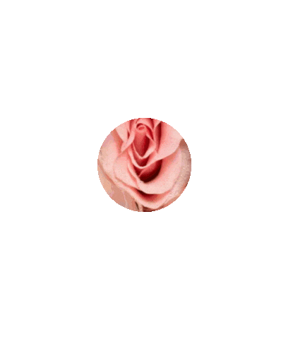 Sticker by Dra Larissa Viana