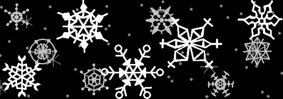 Real Snowflake Falling Real Snowflake Falling