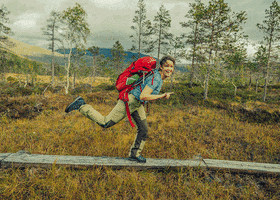 GIF by Gregory Packs