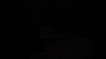 Fashion GIF