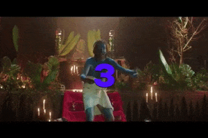 GIF by La loi c'est la loi