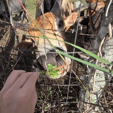 Casperthewonder GIF