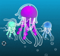 Jellyfish Clips - Find & Share on GIPHY