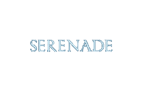 세븐틴 Serenade Sticker
