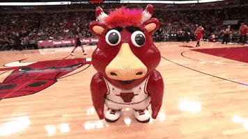 Benny The Bull Omg GIF by Chicago Bulls