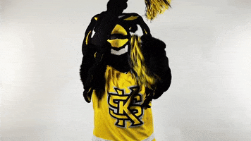 Cheer Celebrate GIF by Kennesaw State University
