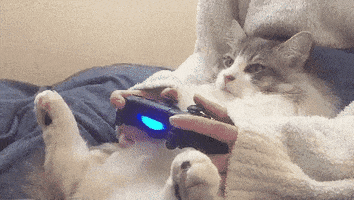 Video gif. A large fluffy cat lies sleepily on its back in the lap of its human.  Their hands wrap around the cat and hold a game controller looking like the cat were playing the game. 