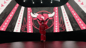 In The Face Lol GIF by Chicago Bulls
