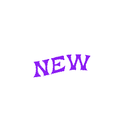 New-Studio-Sale-Couleur Sticker