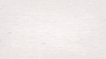 Vhs GIF