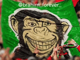 Monkey Banner GIF