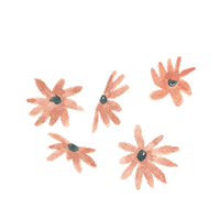 200w.gif?cid=ecf05e475f1c897ee717078befc