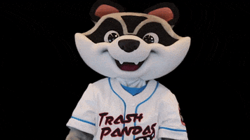 Raccoon Wow GIF by Rocket City Trash Pandas