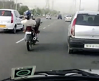 day work cheezburger get off GIF