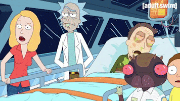 Season 2 Episode 208 GIF by Rick and Morty