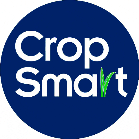 Crop Smart GIF