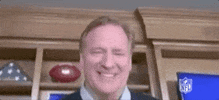 National Football League Lol GIF by NFL