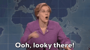 SNL gif. Kate McKinnon as Elizabeth Warren on Weekend Update pointing to the right and saying "Oh, looky there!"