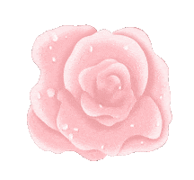 Water Flower Sticker by Fifth & Ninth