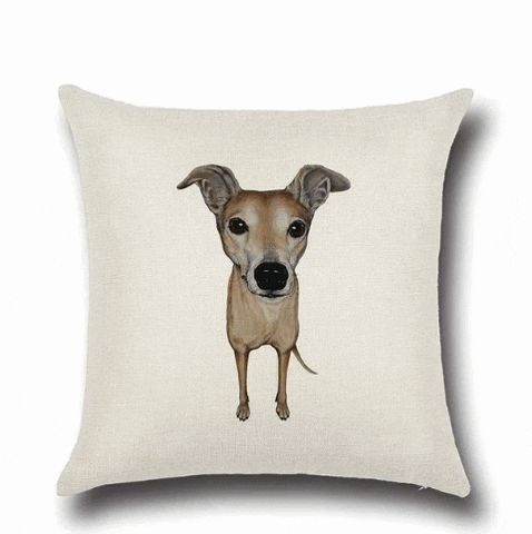 Whippet Gifts GIF