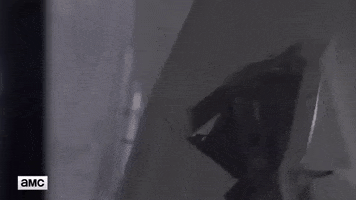 The Walking Dead GIF