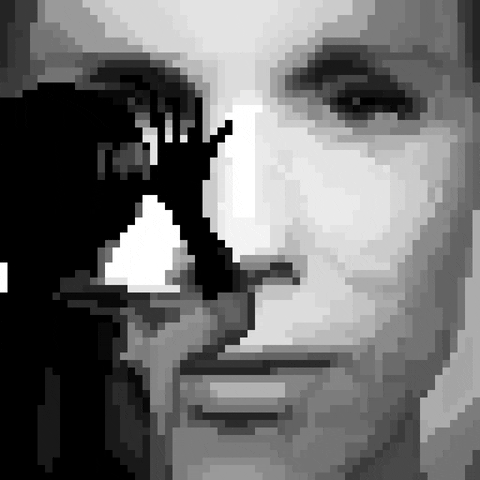 Swedish Cinema GIFs - Get the best GIF on GIPHY