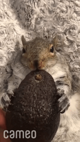 [Image: giphy.gif]