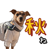 Miniature Pinscher Dog Sticker