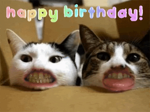 Happy Birthday Bday GIF by MOODMAN - Find & Share on GIPHY