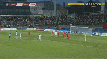 Portugal GIF