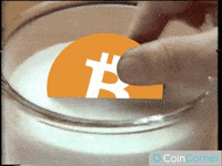 Bitcoin Crypto Gif By Narkasa Find Share On Giphy