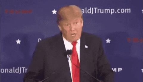 Giphy - Trump Words GIF by moodman