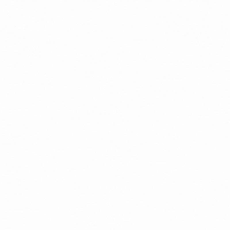 Susie Lee GIF