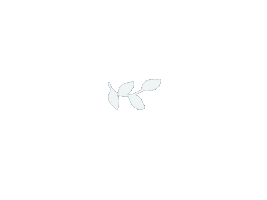 Colette Sticker