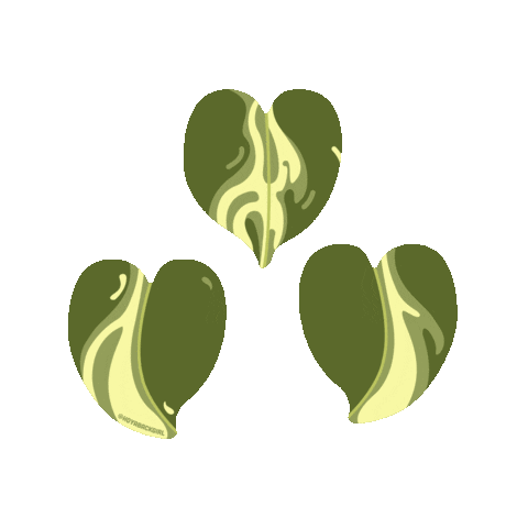 Green Sticker