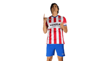 Svp9 Sticker by De Kaascoman