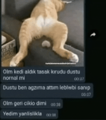 Mehmetmertcakir GIF
