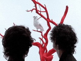 GIF by Faux Real