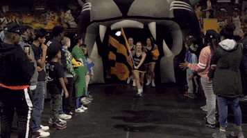 200.gif?cid=fc005b08855a1cf145967c720c239e72b0d6b8993bd2f451&rid=200.gif&ct=g