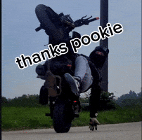 Thanks Thanking GIF
