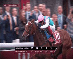 Enable Frankie Dettori GIF by World Horse Racing