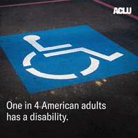 Accessible Voting Act GIF by ACLU