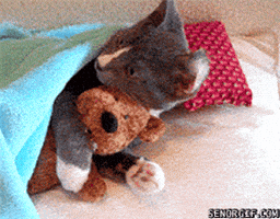 200.gif?cid=f0bdee70d0pqfnqb69fp5g6szfnqeuysgqxppitch927i9kd&rid=200.gif&ct=g