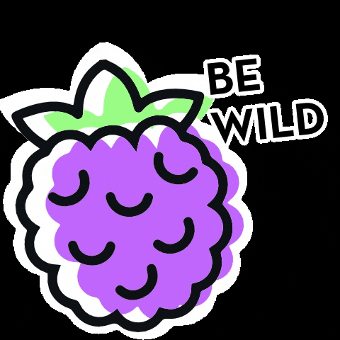 TheGoodCider party fiesta fruit wild GIF