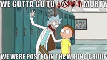 Rick And Morty Anarchy GIF by Harborne Web Design Ltd