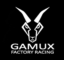 Gamux gamux gamux racing GIF