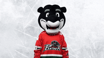 Hockey Del GIF by Augsburger Panther Eishockey GmbH