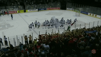 Augsburger Panther Yes GIF by Champions Hockey League